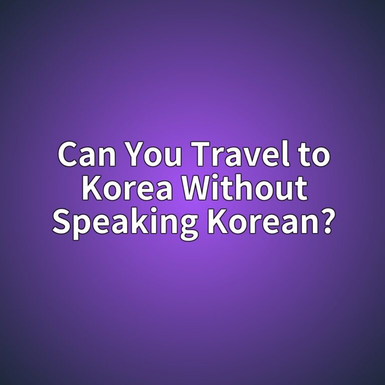 Can You Travel to Korea Without Speaking Korean? 6 can you travel to korea without speaking korean 1787985097